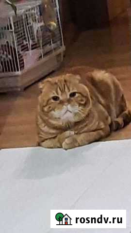 Ждём на вязку Самара - изображение 1