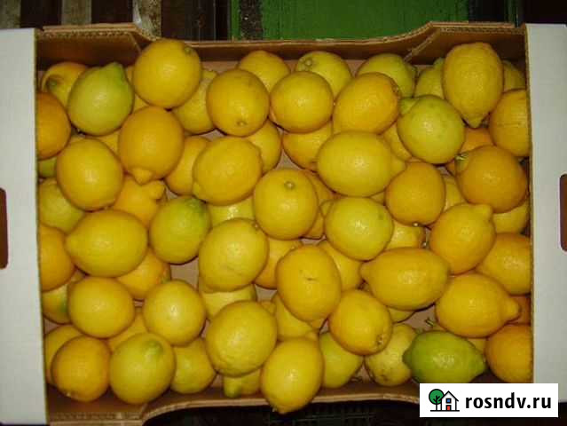 Лимоны Белые Берега - изображение 1