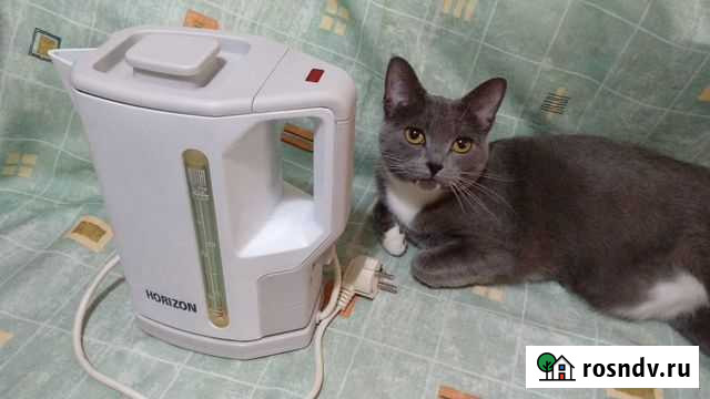 Чайник электрический на 1,7 литра состояние нового Узловая - изображение 1