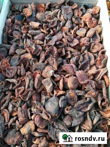 Курага домашняя Ейск - изображение 1