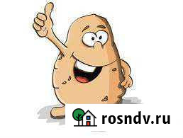 Картошка домашняя в каждый дом Елизово - изображение 1