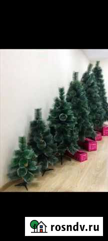 Ёлка, ель, сосна Воронеж - изображение 1