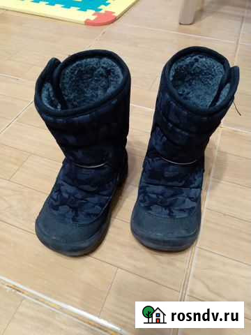 Отдам даром куома 23 Москва - изображение 1