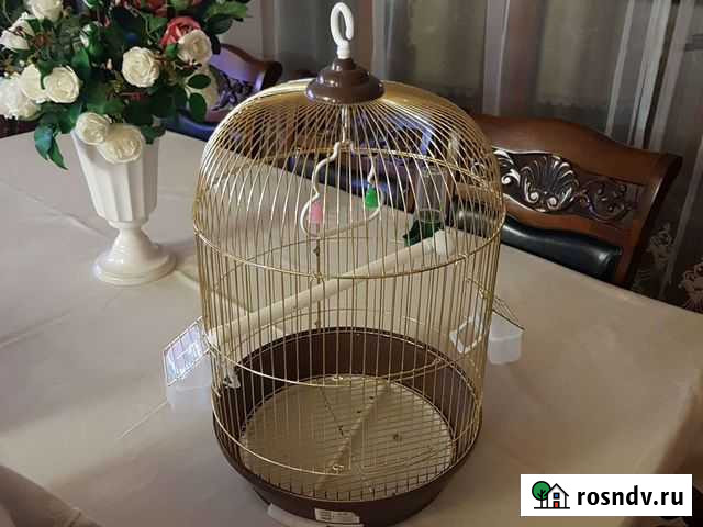 Клетка для попугая Анапа - изображение 1