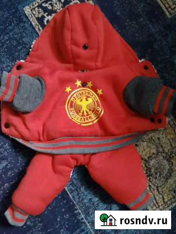 Комбинезон на йорка Междуреченск - изображение 1