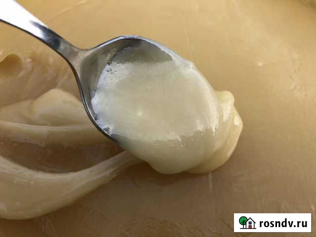 Мед Гречишный, Луговой,Полевой с Алтая Оптом Подольск - изображение 1