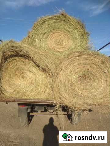 Сено донское луговое Константиновск - изображение 1