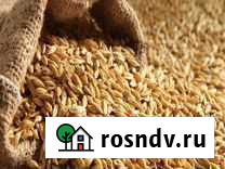 Зерно,комбикорм Суворов - изображение 1