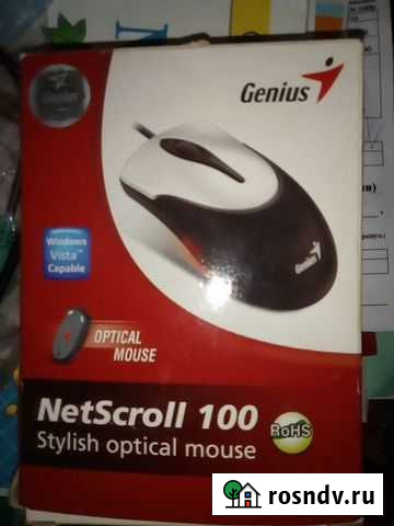 Мышь Прохладный - изображение 1