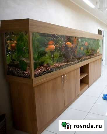 Аквариум по вашим размерам Новосибирск - изображение 1