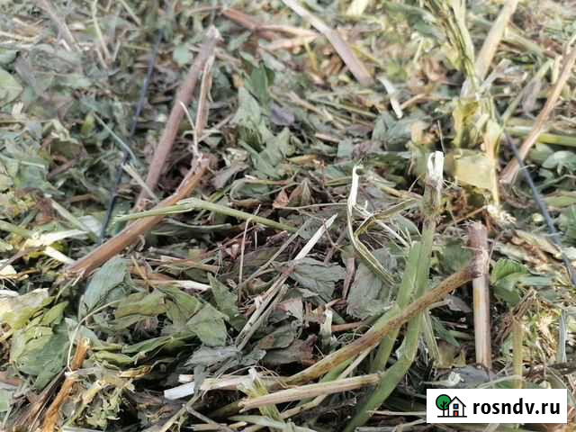 Сено в рулонах (бобовые и злаковые) Домодедово - изображение 1