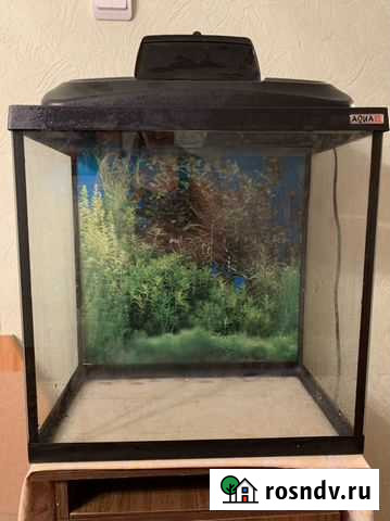 Аквариум Воркута - изображение 1