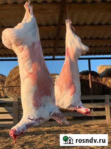 Баранина Котово - изображение 1