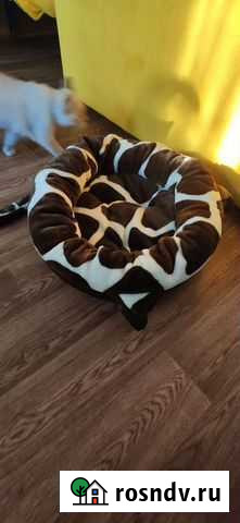 Лежанка для животных Зеленодольск - изображение 1