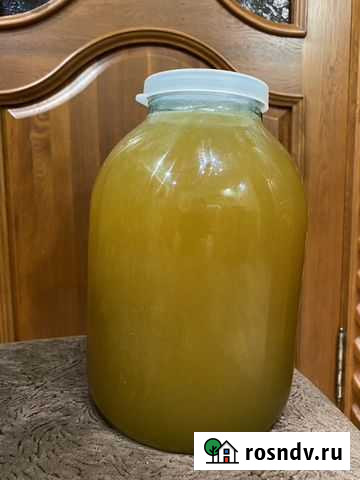 Мед Гатчина - изображение 1