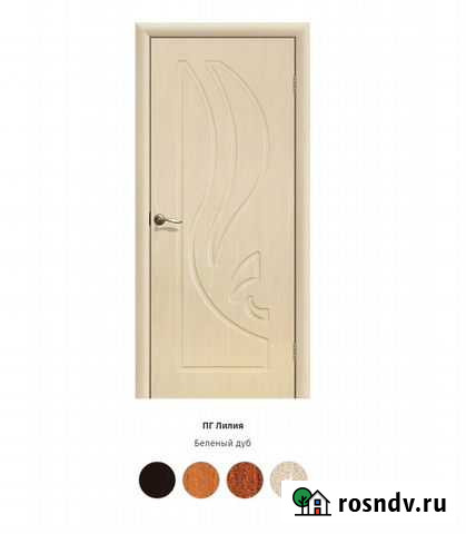 Дверь Рубцовск - изображение 1