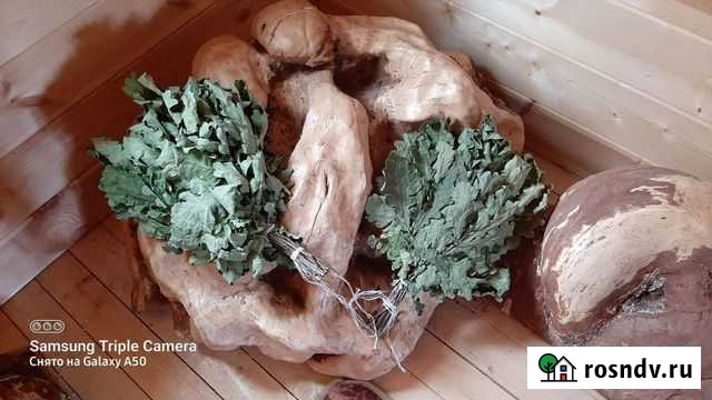 Кап березовый Боровичи - изображение 1