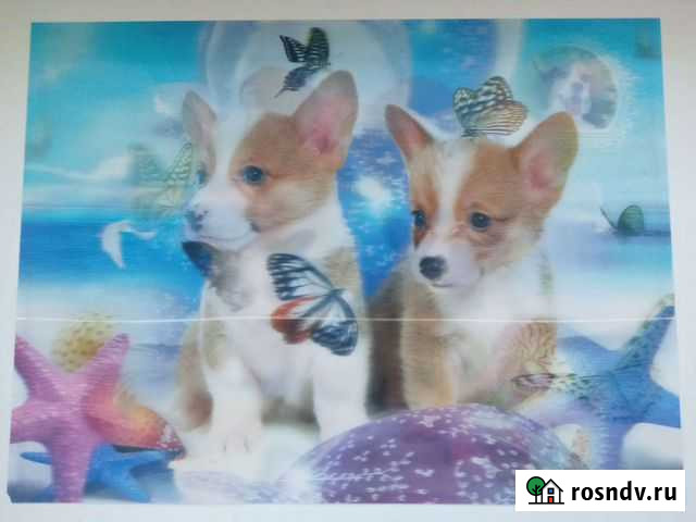 Картина голография Хабаровск - изображение 1