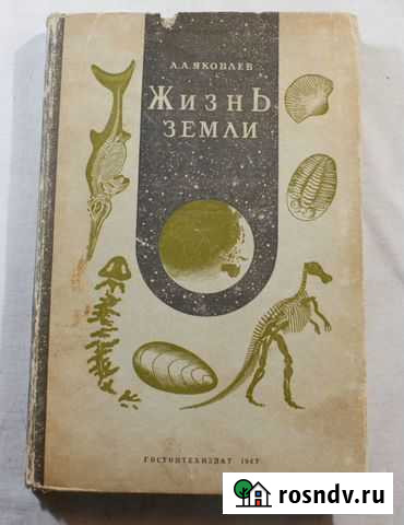 Жизнь земли Кропоткин - изображение 1