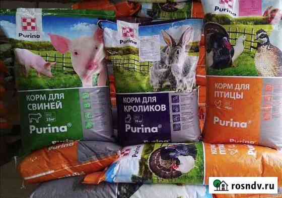 Пурина Purina. Как определить п Вышний Волочек
