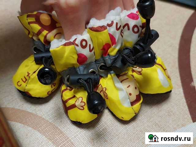 Ботинки для маленьких собак Шаховская - изображение 1