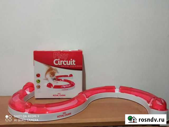 Игра для кошек и котят Лысково - изображение 1