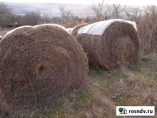 Сено в тюках Терезе - изображение 1