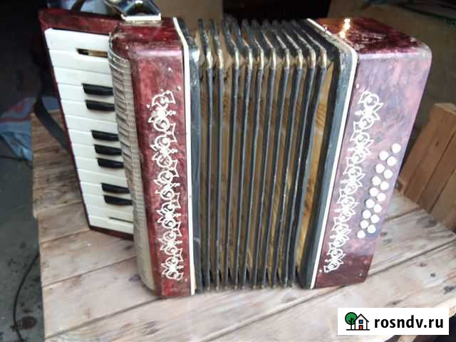 Гармонь детская малыш советских времен в ремонт Орехово-Зуево - изображение 1