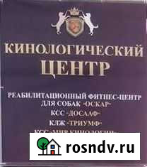 Кинологические услуги Пенза - изображение 1