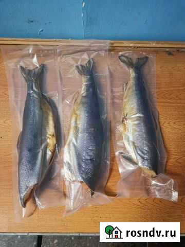 Рыба Норильск - изображение 1