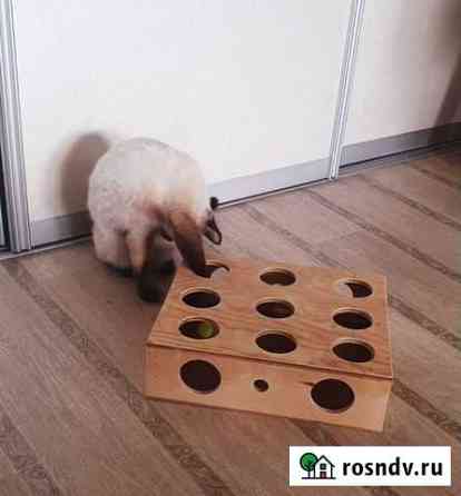 Игрушка для кошек и котов Комсомольск-на-Амуре