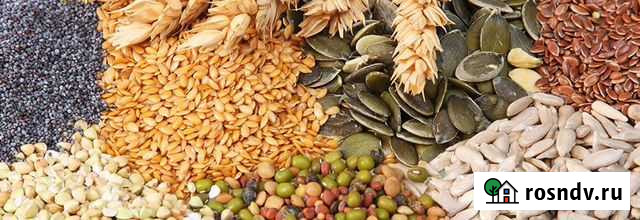 Комбикорма. Зерно. Сено. Доставка Можайск - изображение 1