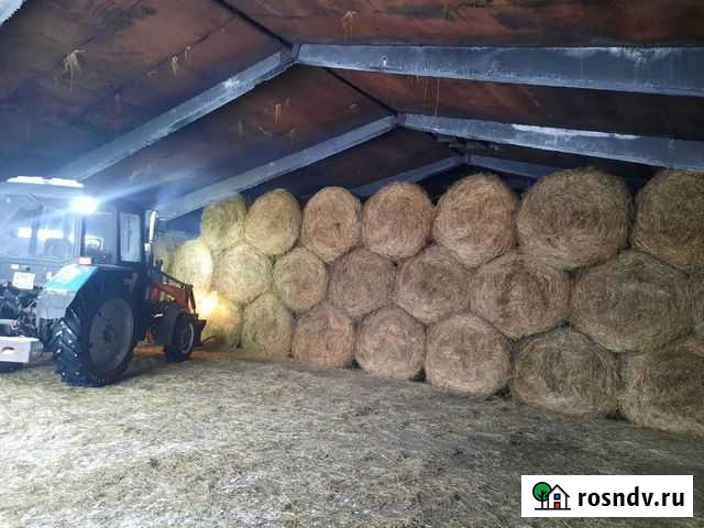 Сено Топки - изображение 1