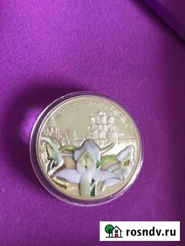 Монета из серебра Саранск - изображение 1