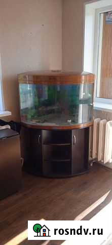 Продаётся аквариум Уфа - изображение 1