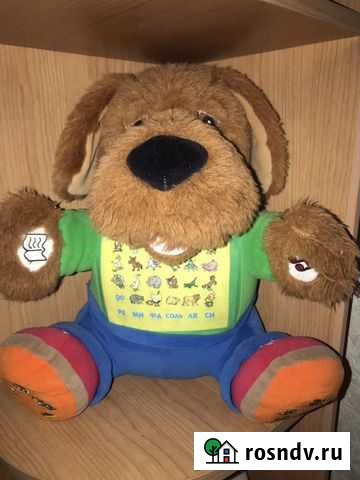 Тимка умный. Звуки животных, рассказывает сказки Томск - изображение 1