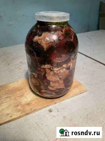 Черный груздь Владимир - изображение 1