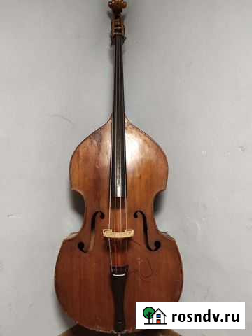 Контрабас Музима Санкт-Петербург - изображение 1