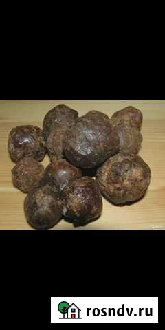 Продам прополис Новокузнецк - изображение 1