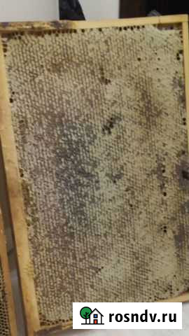 Сотый мед Владикавказ - изображение 1