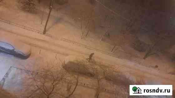 Уборки снега вручную Одинцово