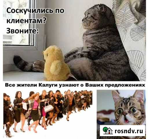 Услуги распространения рекламы по п/я, печать Калуга - изображение 1