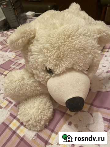 Медведь Заречный - изображение 1