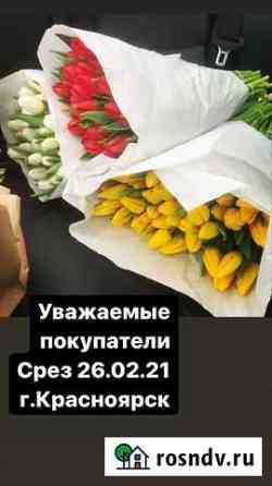 Тюльпаны розница Красноярск