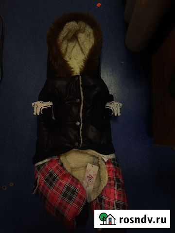 Зимний костюм ждля собак Серпухов - изображение 1