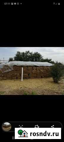 Продается люцерня Ипатово - изображение 1