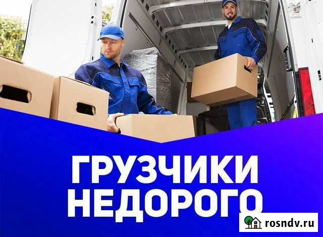 Грузчики Мурино - изображение 1