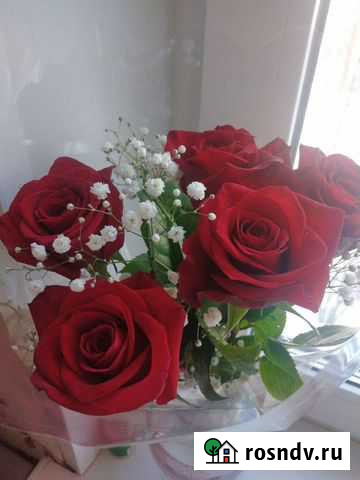 Дом работник Гатчина - изображение 1