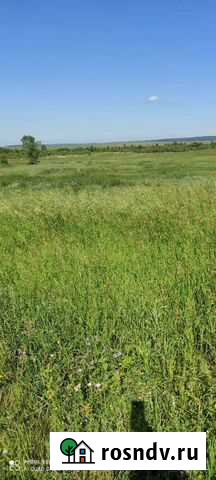 Продам сено рассыпное Оек - изображение 1