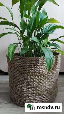 Кашпо для цветов Пермь - изображение 1